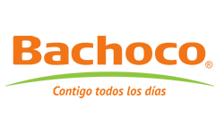 bachoco